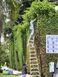 Ladder safety 3