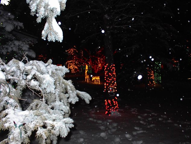 Ten Tips to quickly and safely install Christmas Lights