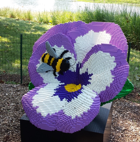 The Bee & the Pansy - 29314 blocks /// 240 hours