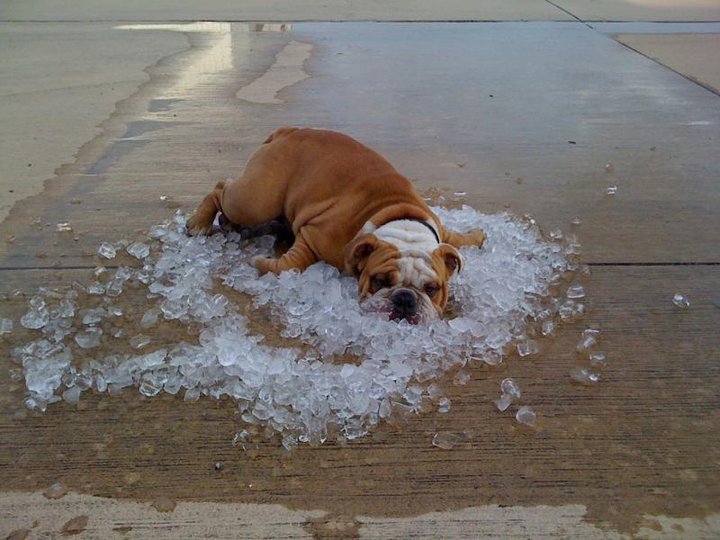 25 ways to keep your cool during a heat wave & beyond