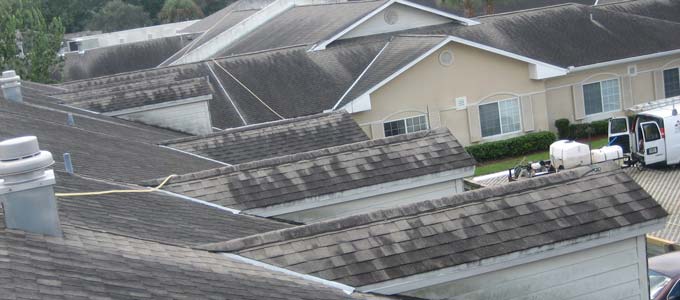 Why Mold Algae Grow On Your Roof And How To Remove It