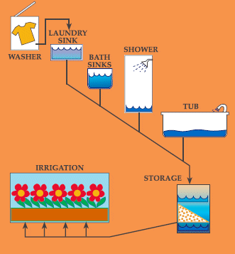 Looking for inputs to this grey water filtration set up : r/OffGrid